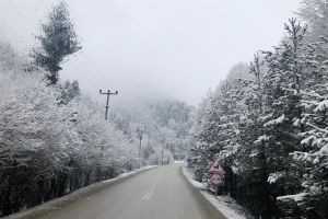 Turder Abant Gezisi 2019